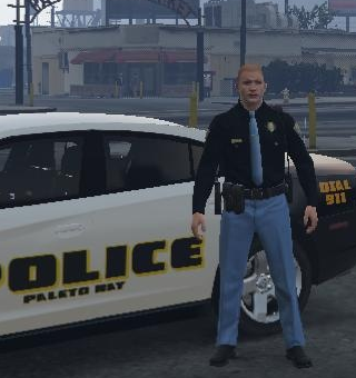 Police Mod Packs